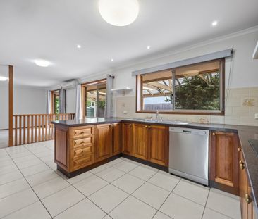 SPACIOUS FAMILY LIVING IN PRIME ALFREDTON - Photo 6