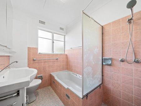 Spacious & Drenched in Natural Light - Photo 4