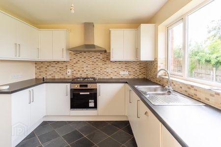 38 Belvedere Manor, Lurgan, BT67 9NW - Photo 5