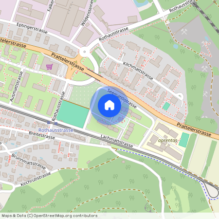 4132, Muttenz, Seemättlistrasse, 6