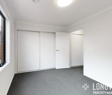 Get Tangled in Tanglewood - Photo 5