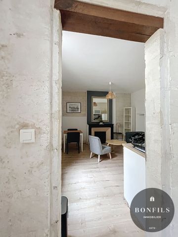 A LOUER AVIGNON (84000) INTRA-MUROS : charmant T1 BIS meublé - au coeur du centre ville !, - Photo 5