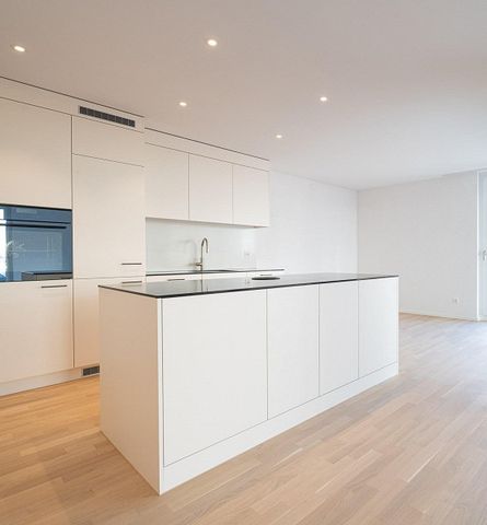 2.5 Zimmerwohnung in Neunkirch - Foto 3