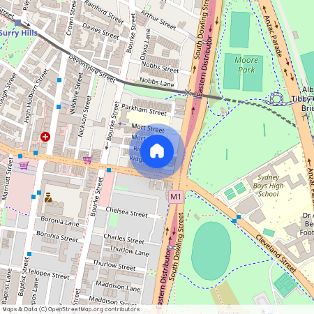 45 Ridge Street, NSW 2010, Surry Hills