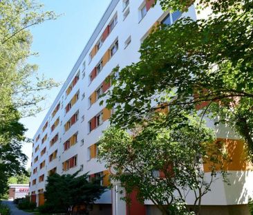 Schauen - Freuen - Mieten - Wohnen - Photo 1