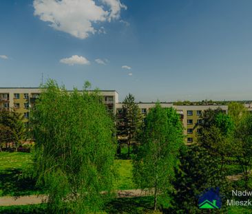 Bieruń - Фото 6
