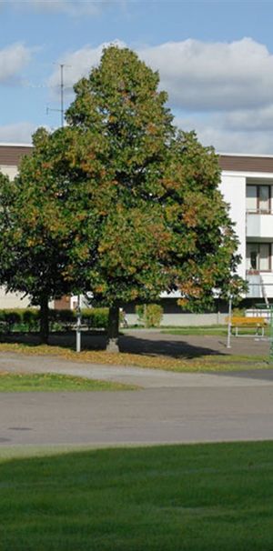 Gustaf Schröders Väg 1a - Foto 1