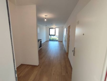 Gartentraum in tolle Lage - Photo 5