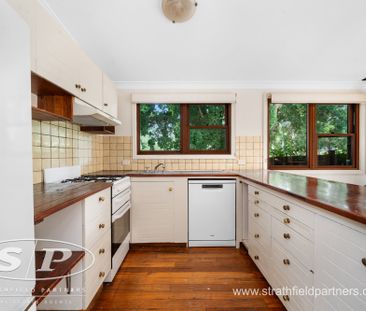17 Allen Street, Leichhardt NSW 2040 - House For Rent | Domain - Photo 4
