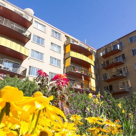 4 1/2 SILLERY PLAZA - PROMENADE CHAMPLAIN- libre - Photo 3