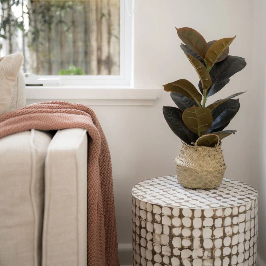 Fully Furnished Luxury Apartment! - Photo 1