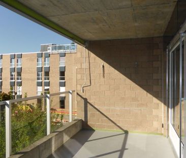 "An ruhiger Lage nähe Waldrand" - Photo 6