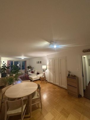 2.5 Zimmer, 62 m², 2. Stock - Foto 1