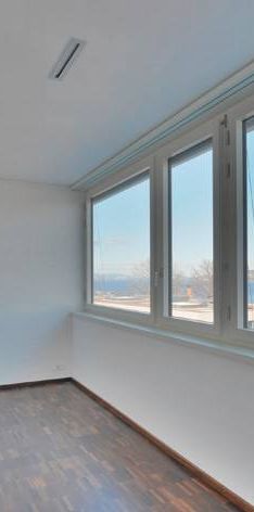 Moderne 2.5-Zimmer-Wohnung in Seenähe - Photo 1