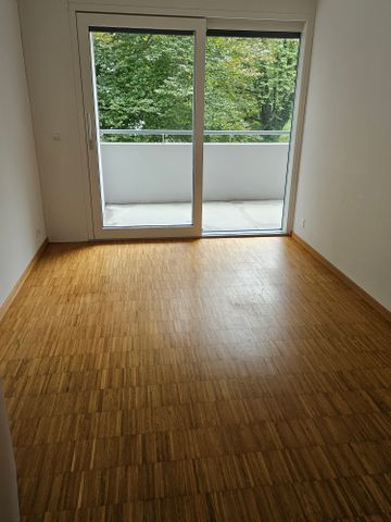 4414 Füllinsdorf, Ringstrasse 9 - Foto 4