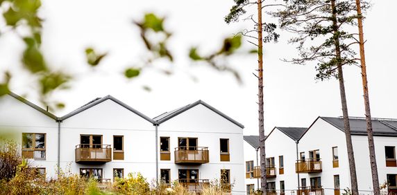 Taggsvampsvägen, Nykvarn - Photo 2