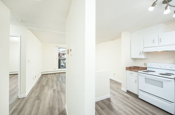 Daly Grove - Photo 1