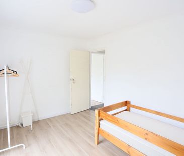 16 Alfred Hill Drive, Melba ACT 2615 - House For Rent | Domain - Photo 2