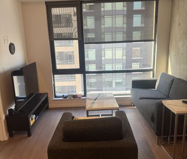 For Lease - 105 Champagne Avenue Unit# 1102, Dows Lake - Civic Hosp... - Photo 4