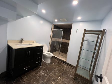 For Lease - 17 Hyde Park Drive Unit# BASEMENT, Richmond Hill, Ontario - Photo 3