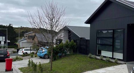 Near New Family Home Ara Hills - Photo 5