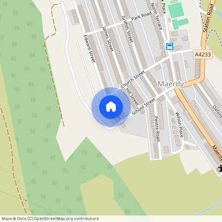 Miles Street, Maerdy, Ferndale, CF43