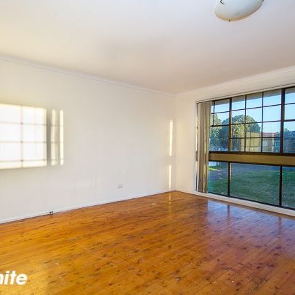 Floor boards throughout - Photo 1