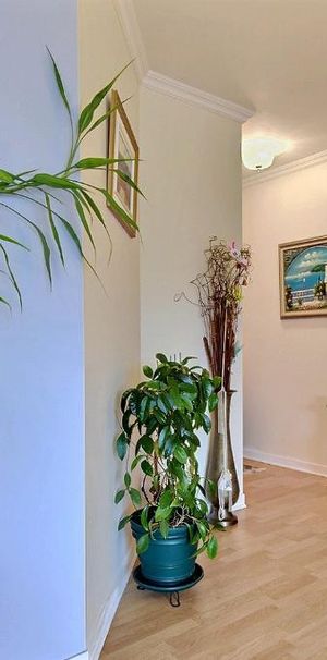 magnifique 4 1/2 dernier etage batiment 1992 - Photo 1