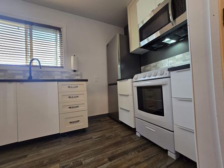 One bedroom apartment for rent in Innisfil - Photo 2