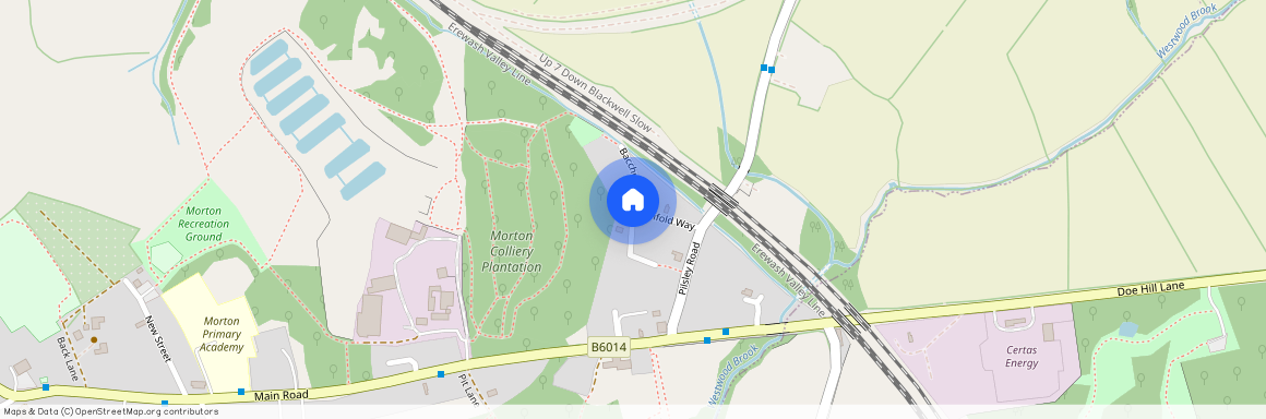 Bacchus Way, Morton, Alfreton, DE55