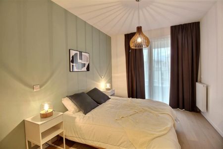 Ernest Solvay D33C - Photo 4