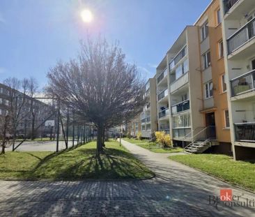 Pronájem bytu 2+kk 40 m - Fotografie 4