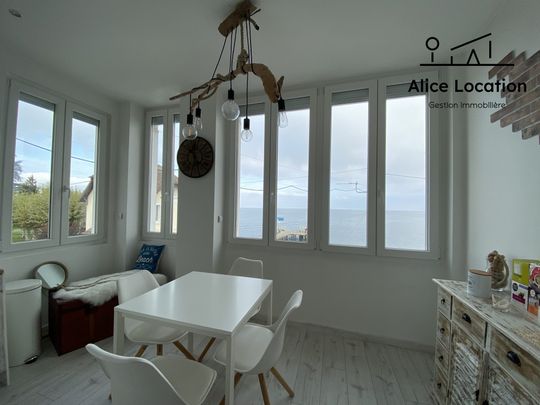 Location Appartement 1 pièce 24m² PUBLIER 74500 - Photo 1