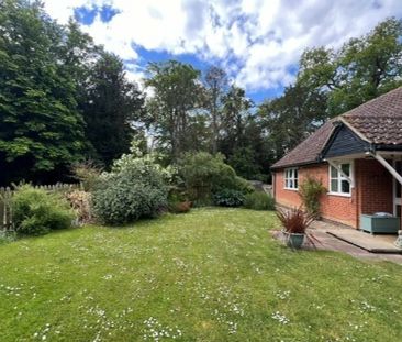 Hall Lane, Riddlesworth, DISS - Photo 3