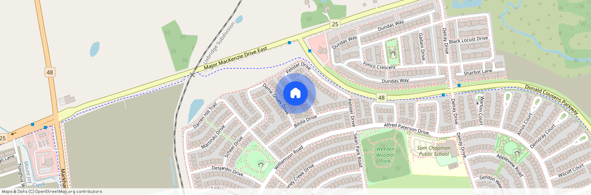 12 Pelister Drive Unit# Bsmt, Markham