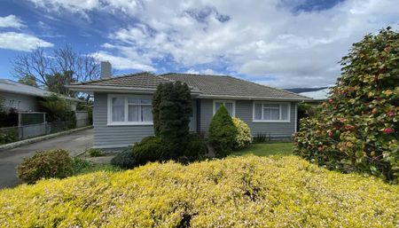 Sunny Family Home in Popular Location - Photo 4