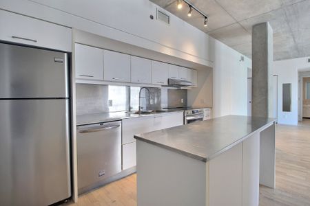 Condo for rent, Montréal (Ville-Marie) - Photo 3