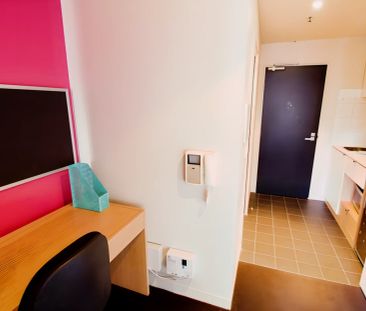 Large west Studio - Photo 2