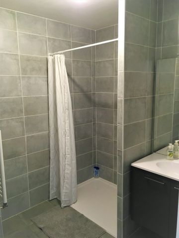 Location Appartement 2 pièces 48m² VILLEURBANNE 69100 - Photo 5