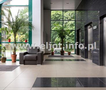 Koszutka, Katowice - Zdjęcie 2