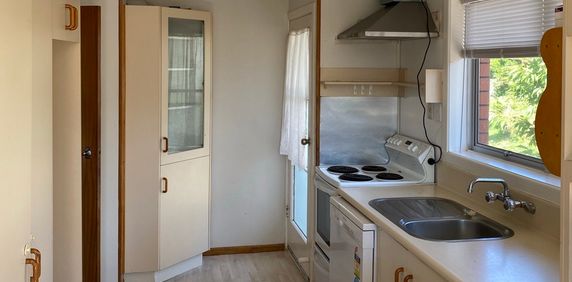 MOUNT VIEW DRIVE - Photo 2