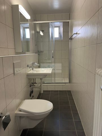Renovated 3-room apartment with lake view - Foto 4