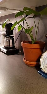 Strömgatan 6 A - Photo 4