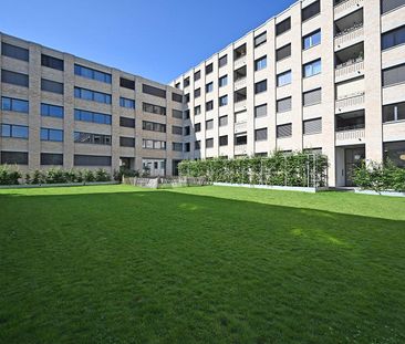 Nachbarspartei für Fleur gesucht - Foto 4