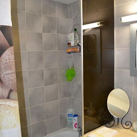 Location appartement 2 pièces, 35.00m², Albi - Photo 3