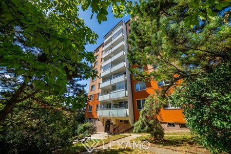 Pronájem bytu 1+kk 31 m² - Фото 3