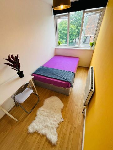 Room in a Shared Flat, Amazing Double Room In Battersea, SW8 - Photo 3