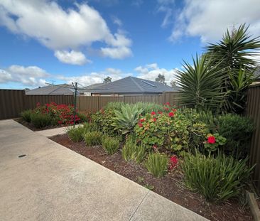 Charming Family Home in Cobblebank - Photo 5