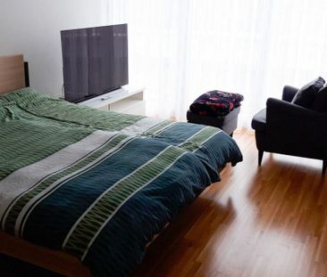 Exklusive Attika-Wohnung mit riesiger Terrasse an idyllischer Lage - Photo 2