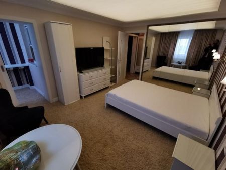 Garsoniera Ion Mihalache- Titulescu- Banu Manta - Fotografie 4